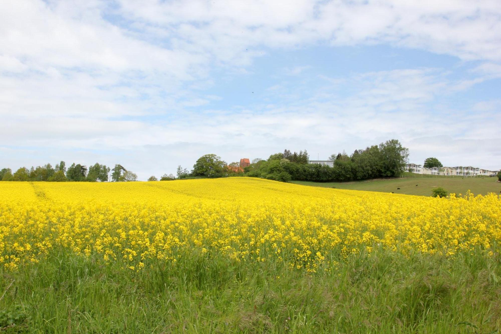 Terrasse, Gratis Nutzung Vom Ahoi Erlebnisbad Und Sauna - Meeresblick Fewo 10 Goehren  Exterior foto